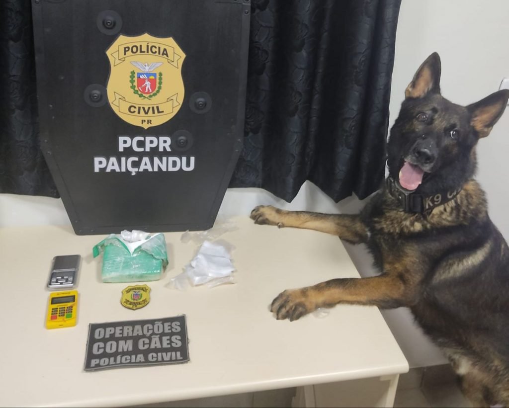 Polícia civil realiza apreensão de quase meio quilo de cocaína em Paiçandu. Duas pessoas foram presas