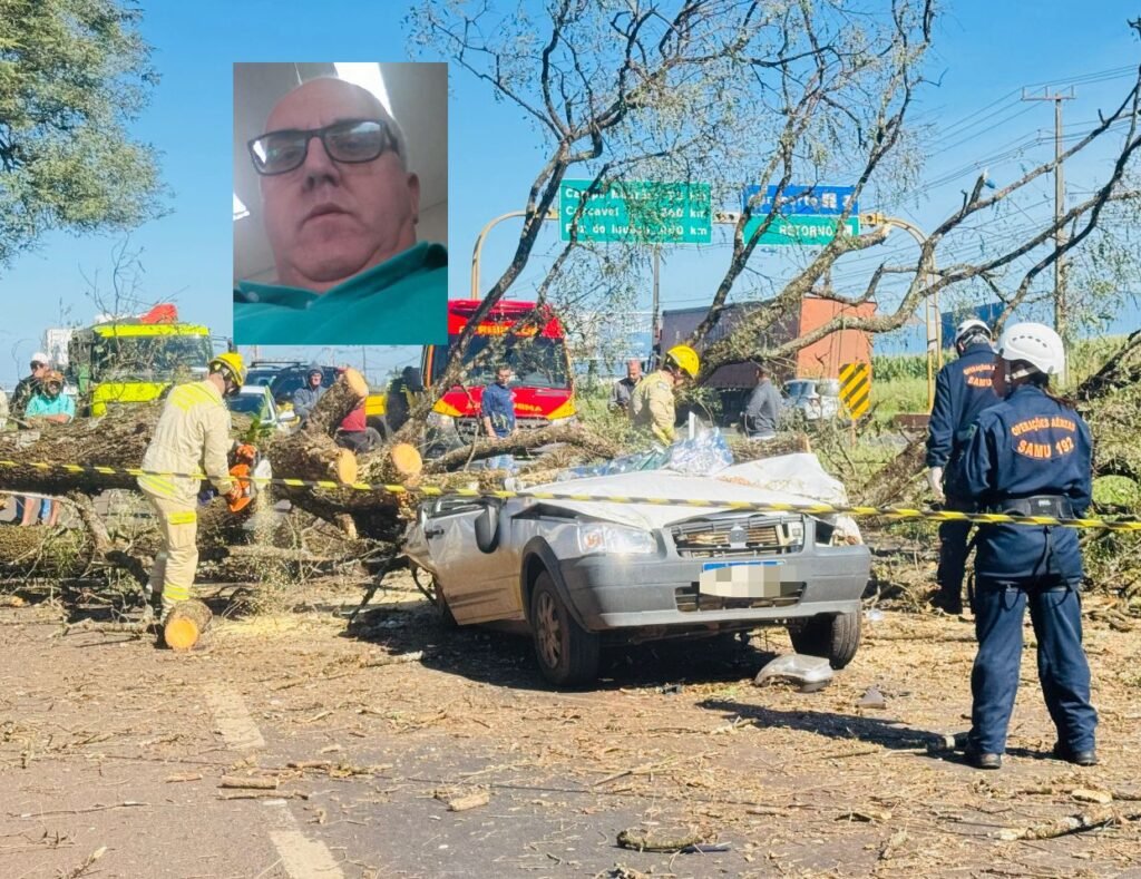 Tragédia – Motorista morre após ser atingido por árvore que caiu na rodovia, próximo ao aeroporto regional